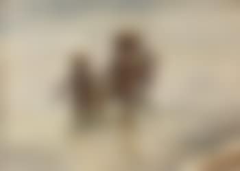 Summer day at Skagen South beach (preview)