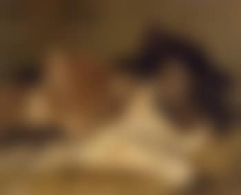 Sleeping kittens (preview)