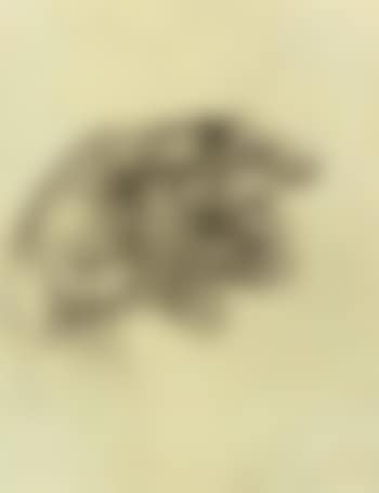 Gorky's left. Gorky's hands (preview)