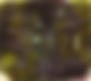 Presence (preview)