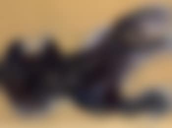 Black panther (preview)