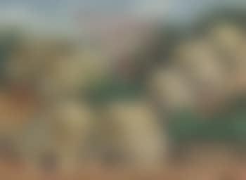 Scene in Mexico (preview)