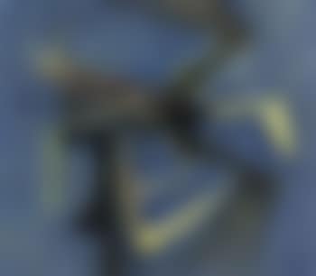 Oiseaux (preview)