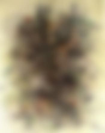 Untitled (preview)