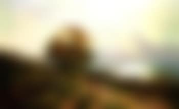 Overlooking the bay (preview)