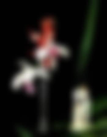 Still life with orchid and porcelain figure (preview)