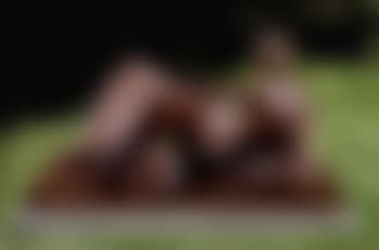 Reclining figure: angles (preview)