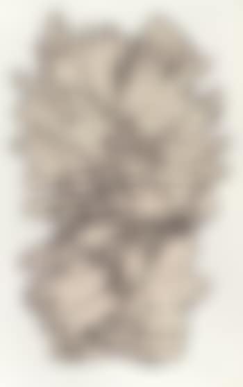 Figuration VIII (preview)
