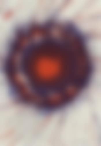Untitled - spin (preview)