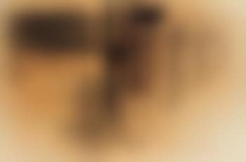 Untitled (preview)