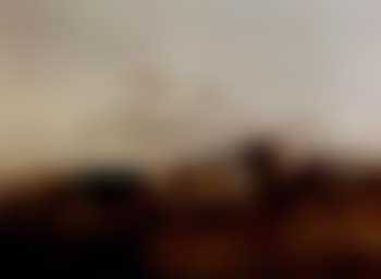 Cattle in the marshes (preview)