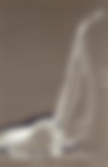 Study for a sculpture in the form of a vacuum cleaner, from side (preview)