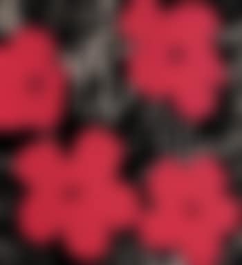 Flowers (preview)