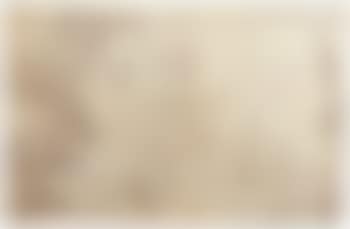 View of a clearing in a wood (preview)