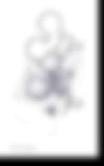 Untitled (preview)