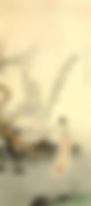 Lady by bamboo (preview)