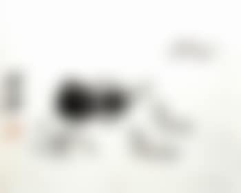 Silkworms (preview)