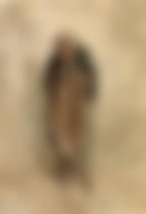 Portrait d'une vieille femme (preview)