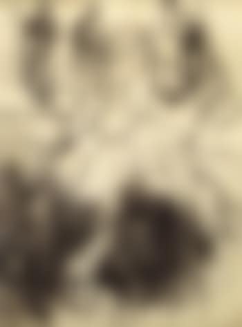 Etude de personnages (preview)