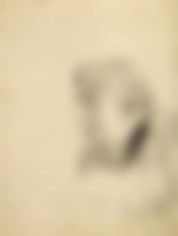 Profil d'homme (preview)
