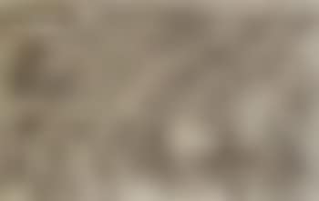 Racehorses (preview)