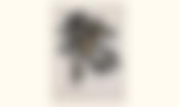 Composition (preview)