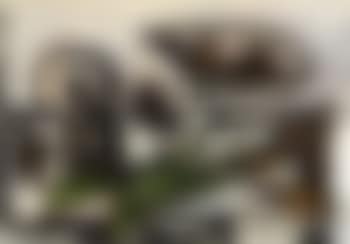 Nature morte au crane (preview)