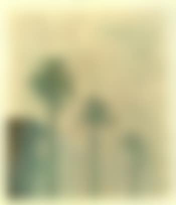 Weather series (preview)