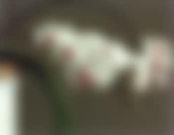 Orchids (Version 1) (preview)