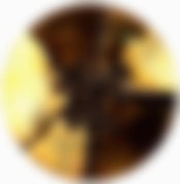 Study for brooch (preview)