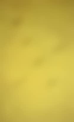 Six yellow ovals (preview)