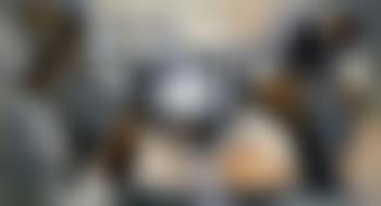 Warrior (preview)