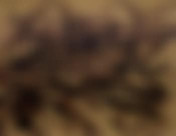 Racing car (preview)