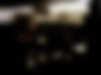 Landscapes with herds (preview)