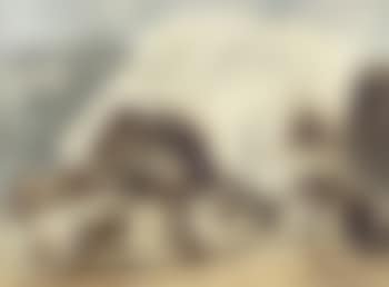 Storm wave (preview)