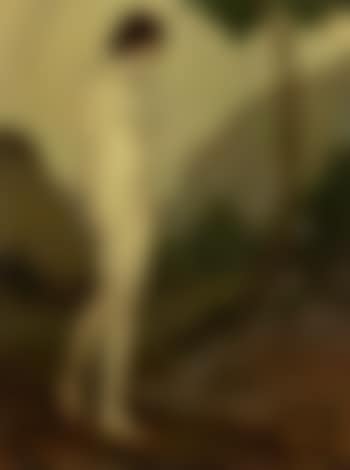 Nude in landscape (preview)