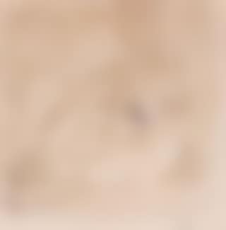 Figures at window (preview)