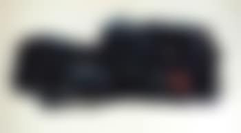 Window lights, Bird (preview)