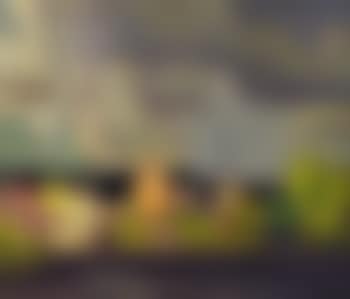 Magnetewan village (preview)
