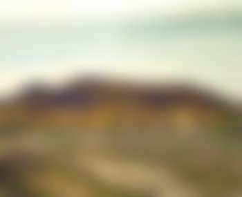 Northern road (preview)