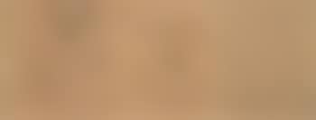 Side view of the nude (preview)