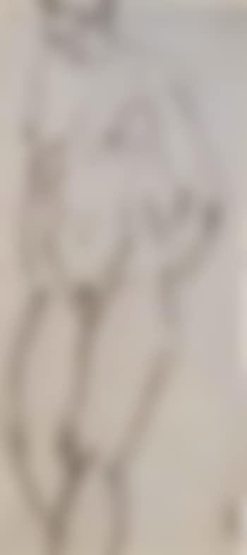 Front and side view of the nude (preview)