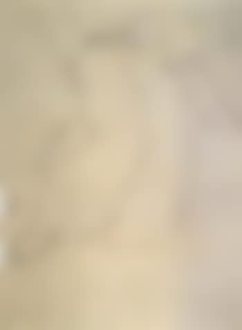 Back view of the nude (preview)