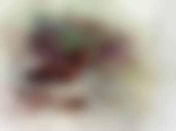 Grouse (preview)