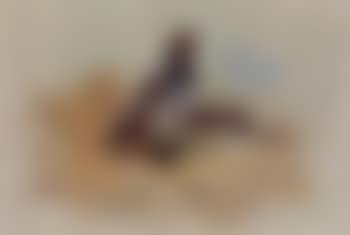 Partridges (preview)