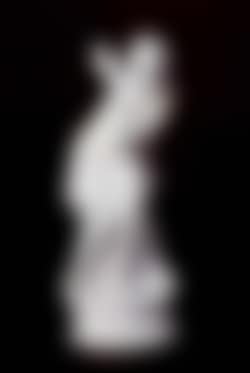 Libellule (preview)