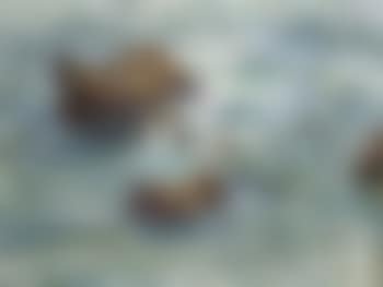 Rocks near les Trayas (preview)