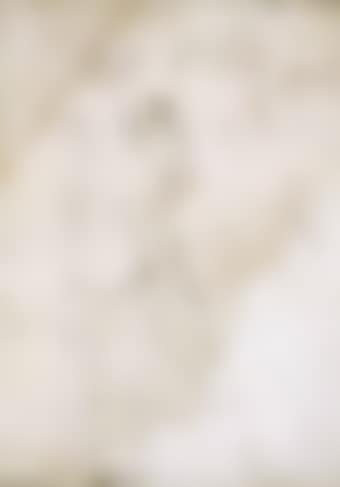 Study of figures (preview)