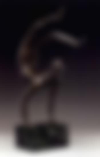 Acrobat (preview)