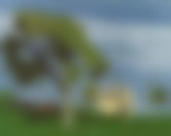 Red barn (preview)